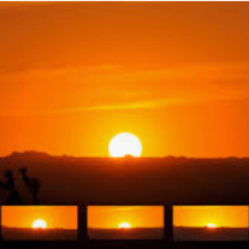 Meet your Posher, Mel